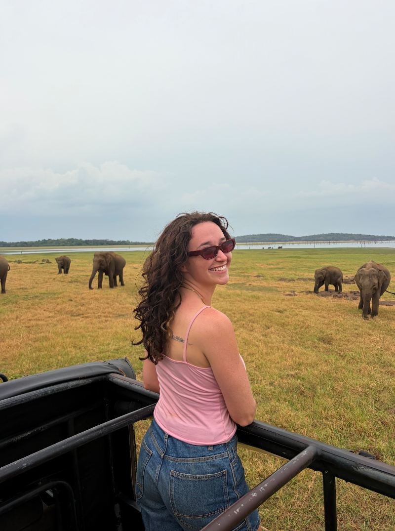 On safari with elephants in Sri Lanka